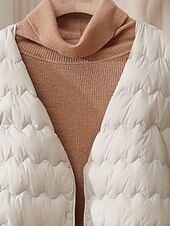 ieftine Jachete din puf-Pentru femei Fâș Cald Comfortabil Nasturi Modă Simplu Ieșire Sfârșit de săptămână Cu Un Nasture Regulat Crewneck Fit regulat Manșon Lung Îmbrăcăminte exterioară Roz Deschis Albastru Deschis Alb