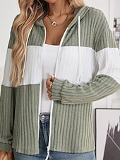 preiswerte Freizeitjacken-Damen Kapuzenjacke Bequem Patchwork Reißverschluss Lässig Farbblock Ausgehen Wochenende Reisverschluss Regulär Mit Kapuze Normale Passform Langarm Oberbekleidung Schwarz Hellgrün Rosenrot Herbst