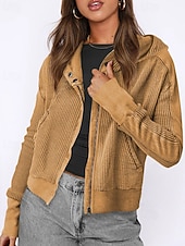 baratos Moletons e Sweatshirts Texturizados-Mulheres Jaqueta casual Casaco com capuz Manter Quente Confortável Zíper Bolsos Moda Ao ar livre Tecido Para Noite Final de semana Zíper Padrão Com Capuz Normal Manga Longa agasalhos Preto Rosa Azul