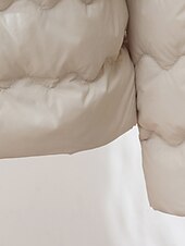 ieftine Jachete din puf-Pentru femei Fâș Cald Comfortabil Nasturi Modă Simplu Ieșire Sfârșit de săptămână Cu Un Nasture Regulat Crewneck Fit regulat Manșon Lung Îmbrăcăminte exterioară Roz Deschis Albastru Deschis Alb