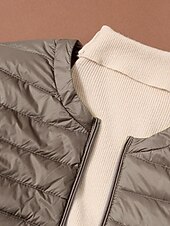 abordables Doudounes-Femmes Doudoune Manteau Chaud Confortable Fermeture éclair Avec Poches Mode Uni Tenue quotidienne Sortir Décontracté Quotidien Week-end Fermeture éclair Long Col Rond Coupe régulière manche longue