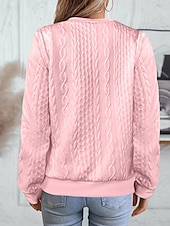 economico Felpe e Sweatshirt Texturizzati-Per donna Felpa con texture Felpe Felpe con cerniera Semplice Streetwear Casual Comodo Manica Lunga Collo Alto Top Regolari Streetwear Ferie Uscire Zip a un quarto Bianco Rosa Vino Rosa scuro Blu