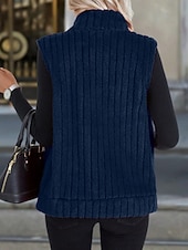 お買い得  ベスト-女性用 フリースベスト 快適 高通気性 ジッパー カジュアル 平織り バケーション ストリート カジュアル デイリーウェア ジッパ－ ショート 折襟 レギュラー ノースリーブ アウターウェア ブラック ルビーレッド ブルー 春 秋