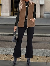 お買い得  ベスト-女性用 フリースベスト 快適 高通気性 ジッパー カジュアル 平織り バケーション ストリート カジュアル デイリーウェア ジッパ－ ショート 折襟 レギュラー ノースリーブ アウターウェア ブラック ルビーレッド ブルー 春 秋