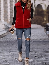 economico Giacche Foderate in Pile-Per donna Gilet in pile Confortevole Traspirante Cerniera Bottoni Casual Semplice Vacanza Streetwear Casuale Abbigliamento quotidiano Cerniera Regolare Collo alla coreana Vestibilità regolare Senza