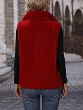 economico Giacche Foderate in Pile-Per donna Gilet in pile Confortevole Traspirante Cerniera Bottoni Casual Semplice Vacanza Streetwear Casuale Abbigliamento quotidiano Cerniera Regolare Collo alla coreana Vestibilità regolare Senza