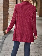 billiga Öppen front cardigan-Dam Vardaglig jacka Bekväm Andningsfunktion Ficka Ledigt Slät Semester Gata Dagliga kläder Utekväll Öppen front Normal Kraglös Normal Långärmad Ytterkläder Vin Himmelsblå Purpur Vår Höst