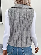 abordables Gilet-Femmes Gilet Chaud Confortable Fermeture éclair Occasionnel Uni Vacances Rue Occasionnel Tenue quotidienne Régulier Col Rabattu Coupe régulière Sans manches Vêtements d'extérieur Noir Blanche Bleu
