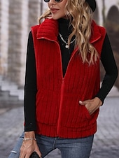 economico Giacche Foderate in Pile-Per donna Gilet in pile Confortevole Traspirante Cerniera Bottoni Casual Semplice Vacanza Streetwear Casuale Abbigliamento quotidiano Cerniera Regolare Collo alla coreana Vestibilità regolare Senza