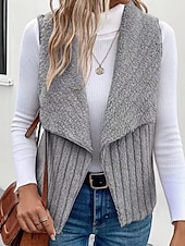 abordables Gilet-Femmes Gilet Chaud Confortable Fermeture éclair Occasionnel Uni Vacances Rue Occasionnel Tenue quotidienne Régulier Col Rabattu Coupe régulière Sans manches Vêtements d'extérieur Noir Blanche Bleu