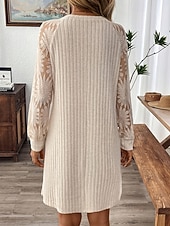 abordables Robes pull-Femmes Mini Robe Robe Décontractée Moderne Extérieur Vacances Quotidien Coupe régulière Uni manche longue Col ras du cou Abricot Printemps Automne