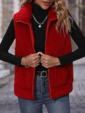 economico Giacche Foderate in Pile-Per donna Gilet in pile Confortevole Traspirante Cerniera Bottoni Casual Semplice Vacanza Streetwear Casuale Abbigliamento quotidiano Cerniera Regolare Collo alla coreana Vestibilità regolare Senza