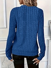 billige Enkle topper-Dame Genser med genser عادي Fritid Langermet V-hals Vanlige topper Gate Hverdag Glidelås Svart Hvit Rød Blå Grønn Høst Vinter