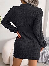 preiswerte Pulloverkleider-Damen Minikleid Pulloverkleid Bodycon Etui-Kleid Mode Modern Täglich Wochenende Normale Passform Einfach Langarm Rundhalsausschnitt Schwarz Weiß Blau Frühling Herbst