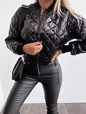 economico Puffers &amp; Parka-Per donna Giacca imbottita Giacca Casual Caldo Confortevole Cerniera Tasca Moda All&#039;aperto Semplice Uscire Weekend Cerniera Regolare Collo alla coreana Vestibilità regolare Manica Lunga Capispalla