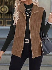 お買い得  ベスト-女性用 フリースベスト 快適 高通気性 ジッパー カジュアル 平織り バケーション ストリート カジュアル デイリーウェア ジッパ－ ショート 折襟 レギュラー ノースリーブ アウターウェア ブラック ルビーレッド ブルー 春 秋