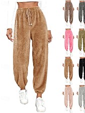 halpa Suorat Housut-Naisten Veryttelyhousut Fleece-housut Kiinalainen Loma Vintage Katutyyli Täyspitkä Keskikorkea vyötärö Tavallinen Tasku Joustava vyötärö Pidä lämpimänä Mikrojoustava Elastinen Päivittäin ulko- Loma