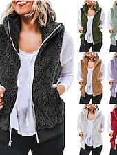 abordables Chaquetas Sherpa-Mujer Chaqueta casual Cómodo Transpirable Cremallera Bolsillo Casual Plano Vacaciones Calle Casual Ropa Cotidiana Cremallera Corto Regular Con Capucha Ajuste regular Sin Mangas Ropa de calle Negro