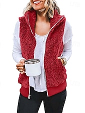 abordables Chaquetas Sherpa-Mujer Chaqueta casual Cómodo Transpirable Cremallera Bolsillo Casual Plano Vacaciones Calle Casual Ropa Cotidiana Cremallera Corto Regular Con Capucha Ajuste regular Sin Mangas Ropa de calle Negro
