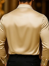  Муж. Рубашка Шелк как Атласная рубашка Повседневная рубашка Полотняное плетение Официальные Свадьба Черный Винный Темно синий Золотой Длинный рукав Вырез-хомут Весна & осень Все сезоны Одежда Рюши