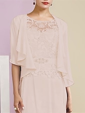 economico impacchi della madre-scialli per ospiti di nozze avvolgere le donne impacchi per la madre puro elegante chiffon a mezza manica impacchi da sposa con balze per la festa primaverile&amp;amp; estate