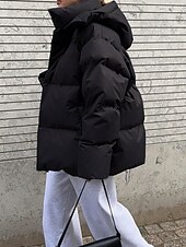 Dam Anorak Bekväm Andningsfunktion Dragkedja Ficka Ledigt Slät Semester Gata Ledigt Dagliga kläder Enkelknäppt Normal Huva Normal Långärmad Ytterkläder Svart Vin Brun Vår Höst billiga Vinterparka-Dam Anorak Bekväm Andningsfunktion Dragkedja Ficka Ledigt Slät Semester Gata Ledigt Dagliga kläder Enkelknäppt Normal Huva Normal Långärmad Ytterkläder Svart Vin Brun Vår Höst