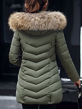 preiswerte Steppjacken-Damen Parka Bequem Atmungsaktiv Reißverschluss Tasche Lässig Einfach Urlaub Straße Alltagskleidung Ausgehen Reisverschluss Regulär Mit Kapuze Normale Passform Langarm Oberbekleidung Schwarz Wein Rote