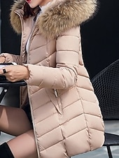 preiswerte Steppjacken-Damen Parka Bequem Atmungsaktiv Reißverschluss Tasche Lässig Einfach Urlaub Straße Alltagskleidung Ausgehen Reisverschluss Regulär Mit Kapuze Normale Passform Langarm Oberbekleidung Schwarz Wein Rote