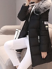 preiswerte Steppjacken-Damen Wintermantel Daunenjacke Warm Bequem Reißverschluss Tasche Lässig Einfarbig Urlaub Alltagskleidung Ausgehen Wochenende Lang Mit Kapuze Normale Passform Langarm Oberbekleidung Schwarz Weiß Rosa