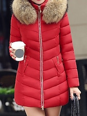 preiswerte Steppjacken-Damen Parka Bequem Atmungsaktiv Reißverschluss Tasche Lässig Einfach Urlaub Straße Alltagskleidung Ausgehen Reisverschluss Regulär Mit Kapuze Normale Passform Langarm Oberbekleidung Schwarz Wein Rote