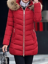 preiswerte Steppjacken-Damen Parka Bequem Atmungsaktiv Reißverschluss Tasche Lässig Einfach Urlaub Straße Alltagskleidung Ausgehen Reisverschluss Regulär Mit Kapuze Normale Passform Langarm Oberbekleidung Schwarz Wein Rote