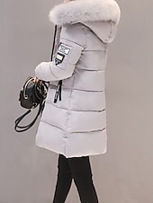 preiswerte Steppjacken-Damen Wintermantel Daunenjacke Warm Bequem Reißverschluss Tasche Lässig Einfarbig Urlaub Alltagskleidung Ausgehen Wochenende Lang Mit Kapuze Normale Passform Langarm Oberbekleidung Schwarz Weiß Rosa