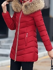 preiswerte Steppjacken-Damen Parka Bequem Atmungsaktiv Reißverschluss Tasche Lässig Einfach Urlaub Straße Alltagskleidung Ausgehen Reisverschluss Regulär Mit Kapuze Normale Passform Langarm Oberbekleidung Schwarz Wein Rote