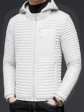 Недорогие Мужские пуховики и парки-Муж. Зимнее пальто Пуховик Стеганая куртка Карман Полиэстер Отпуск На каждый день Свидание Обычная Мода На каждый день Удобный Сохраняет тепло Зима Сплошной/однотонный цвет Белый Синий Пуховик