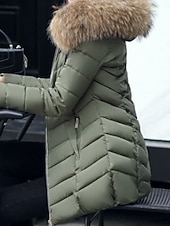 preiswerte Steppjacken-Damen Parka Bequem Atmungsaktiv Reißverschluss Tasche Lässig Einfach Urlaub Straße Alltagskleidung Ausgehen Reisverschluss Regulär Mit Kapuze Normale Passform Langarm Oberbekleidung Schwarz Wein Rote