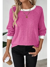 Χαμηλού Κόστους Απλή μπλούζα-Γυναικεία Μπλούζα Κουρελού Συμπαγές Χρώμα Στυλάτο Καθημερινό Μακρυμάνικο Στρογγυλή Ψηλή Λαιμόκοψη Κανονικά μπλουζάκια Καθημερινά Μαύρο Ανθισμένο Ροζ Φούξια Γκρίζο Άνοιξη Φθινόπωρο Χειμώνας