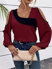 Pentru femei Bluză Simplu Elegant Stilat Modern Manșon Lung Asimetric Topuri obișnuite Zilnic Concediu Ieșire Peteci Roșu Vin Caisă Primăvară Toamnă Iarnă ieftine tricou simplu-Pentru femei Bluză Simplu Elegant Stilat Modern Manșon Lung Asimetric Topuri obișnuite Zilnic Concediu Ieșire Peteci Roșu Vin Caisă Primăvară Toamnă Iarnă