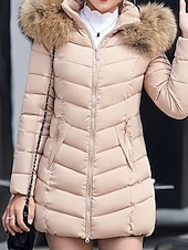 preiswerte Steppjacken-Damen Parka Bequem Atmungsaktiv Reißverschluss Tasche Lässig Einfach Urlaub Straße Alltagskleidung Ausgehen Reisverschluss Regulär Mit Kapuze Normale Passform Langarm Oberbekleidung Schwarz Wein Rote