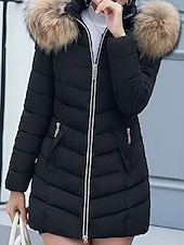 preiswerte Steppjacken-Damen Parka Bequem Atmungsaktiv Reißverschluss Tasche Lässig Einfach Urlaub Straße Alltagskleidung Ausgehen Reisverschluss Regulär Mit Kapuze Normale Passform Langarm Oberbekleidung Schwarz Wein Rote