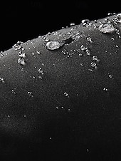 ieftine jachetă activă-Pentru femei Fâș Geacă puffer Palton Izolate Termic cald Fermoar Activ Zilnic Exterior Comfortabil Culoare solidă În aer liber Purtare Zilnică Casul / Zilnic Capișon Fit regulat Manșon Lung