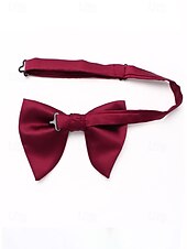 levne Svatba ACC-Pánský motýlek, vánoční barvy, stylový a elegantní, ideální pro formální události a sváteční setkání