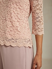 cheap Lace Tops-Women's Lace Shirt Blouse Lace Floral Elegant Long Sleeve V Neck Regular Tops Daily Wedding Guest Cute Outfits Pink Summer Spring Fall Winter