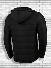 economico Piumini e parka da uomo-Per uomo Cappotto Invernale Giacca imbottita Giacca Imbottita Tasca Poliestere Vacanza Abbigliamento quotidiano Data Regolare Moda Casual Confortevole Calore Termico Autunno Inverno Colore Solido