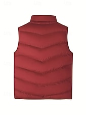 economico Gilet Puffer da Uomo-Per uomo Gilet imbottito Gilet Vacanza Quotidiano Data Moda Casual Autunno Inverno Tasca Poliestere Caldo Confortevole Tinta unica Cerniera Collo alla coreana Vestibilità regolare Blu Nero Giallo