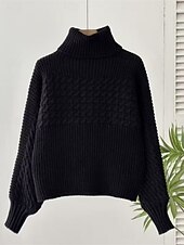 preiswerte Einfarbige Farben-Damen Pullover Lässig Weich Einfarbig Gerippt Rollkragen Gestrickt Langarm Normale Oberteile Stricken Outdoor Täglich Wochenende Schwarz Weiß Herbst Winter