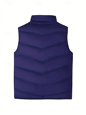 economico Gilet Puffer da Uomo-Per uomo Gilet imbottito Gilet Vacanza Quotidiano Data Moda Casual Autunno Inverno Tasca Poliestere Caldo Confortevole Tinta unica Cerniera Collo alla coreana Vestibilità regolare Blu Nero Giallo