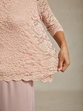 cheap Lace Tops-Women's Lace Shirt Blouse Lace Floral Elegant Long Sleeve V Neck Regular Tops Daily Wedding Guest Cute Outfits Pink Summer Spring Fall Winter