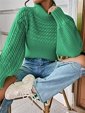 preiswerte Einfarbige Farben-Damen Pullover Lässig Weich Einfarbig Gerippt Rollkragen Gestrickt Langarm Normale Oberteile Stricken Outdoor Täglich Wochenende Schwarz Weiß Herbst Winter