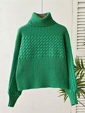 preiswerte Einfarbige Farben-Damen Pullover Lässig Weich Einfarbig Gerippt Rollkragen Gestrickt Langarm Normale Oberteile Stricken Outdoor Täglich Wochenende Schwarz Weiß Herbst Winter