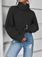 preiswerte Einfarbige Farben-Damen Pullover Lässig Weich Einfarbig Gerippt Rollkragen Gestrickt Langarm Normale Oberteile Stricken Outdoor Täglich Wochenende Schwarz Weiß Herbst Winter